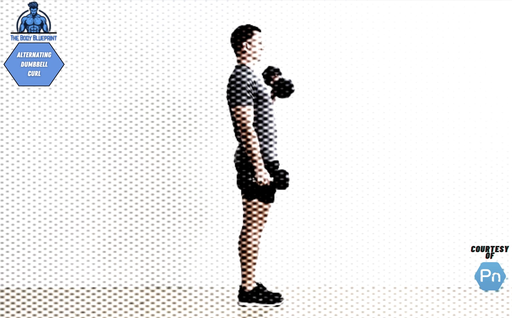 Certified personal trainer demonstrating alternating dumbbell curl