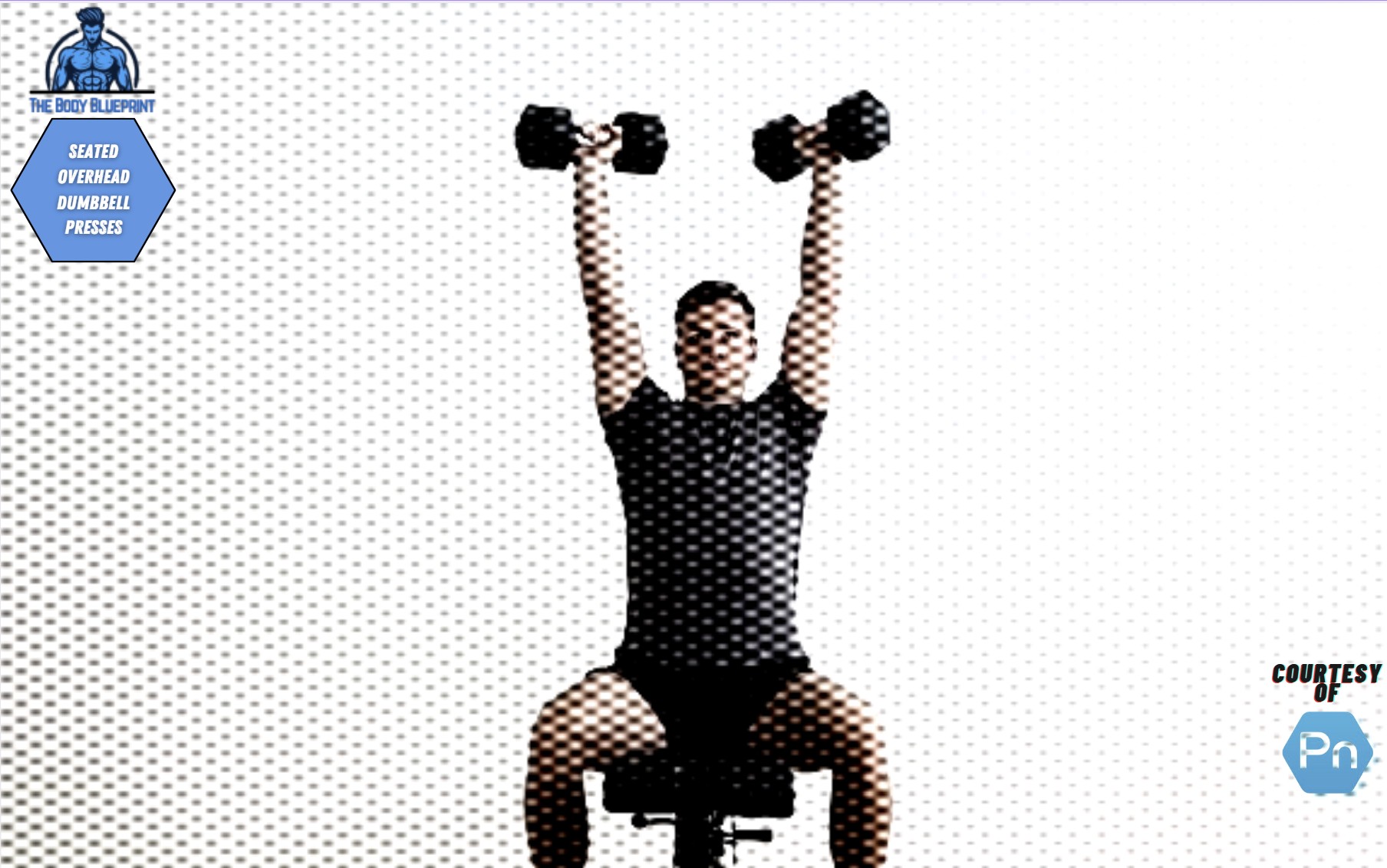 Certified personal trainer demonstrating seated overhead dumbbell press