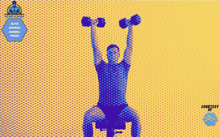 Certified personal trainer demonstrating seated overhead dumbbell press