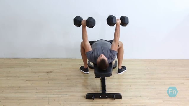 Dumbbell Bench Presses: Form + Benefits+ Muscles Worked + Variations