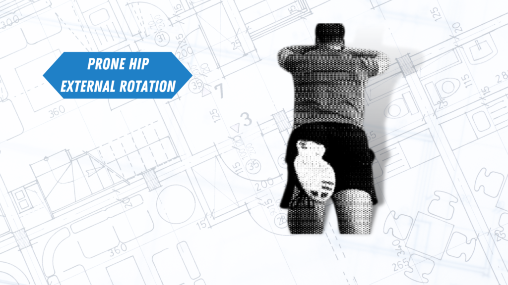 external rotation of hip in prone