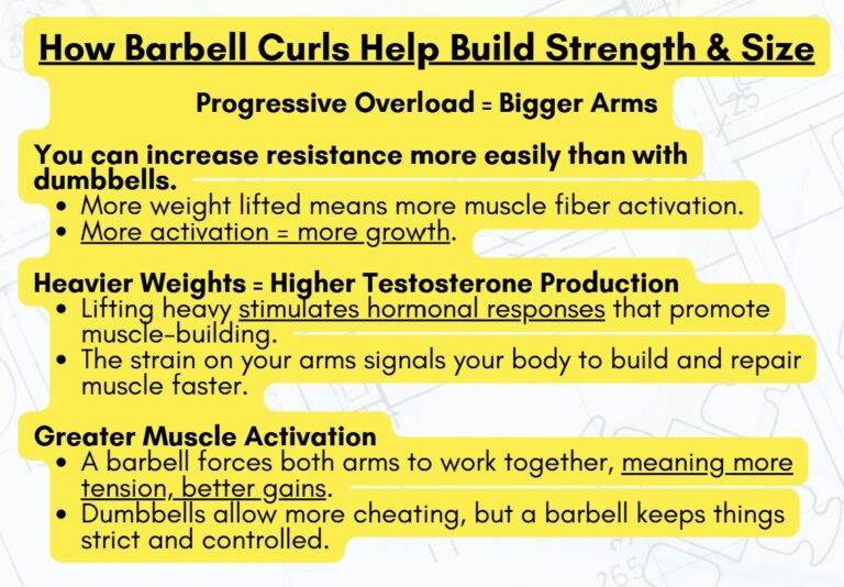 Barbell curls help build strength and size by increasing resistance, boosting testosterone, and enhancing muscle activation.