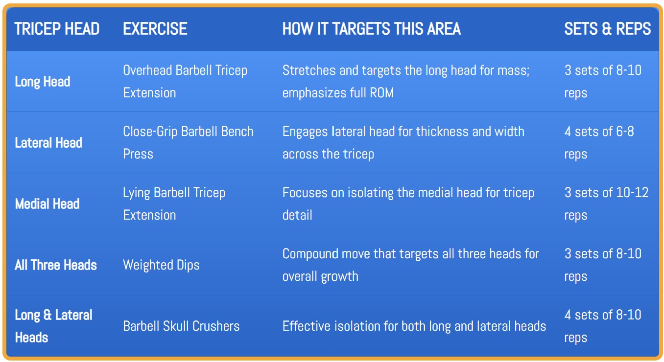 Table showing exercises that target each tricep head for full arm development