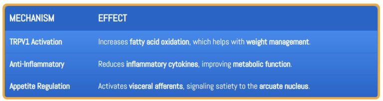 A breakdown of how capsaicin affects TRPV1 receptors, promoting fat oxidation, reducing inflammation, and regulating appetite.