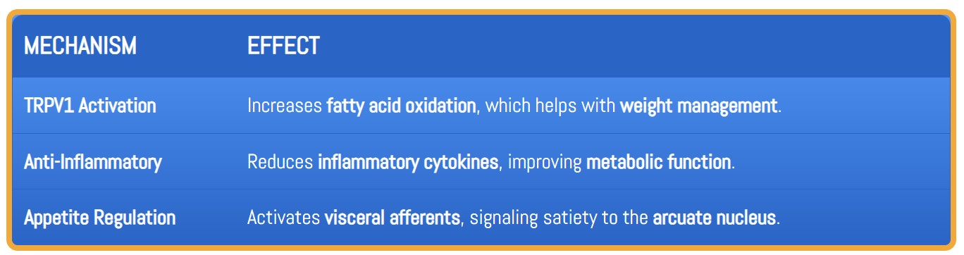A breakdown of how capsaicin affects TRPV1 receptors, promoting fat oxidation, reducing inflammation, and regulating appetite.