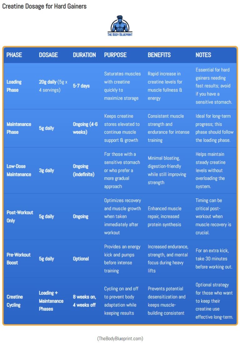 A detailed table for hard gainers outlining different phases of creatine dosage, purpose, benefits, and notes for maximizing results.