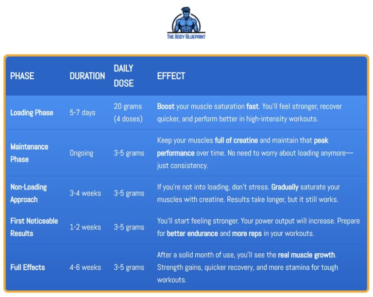 Detailed creatine supplementation chart showing phases, dosages, and results.