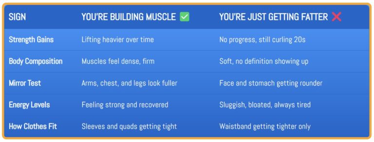 Table comparing signs of muscle gain versus fat gain, including strength, body composition, and energy levels.