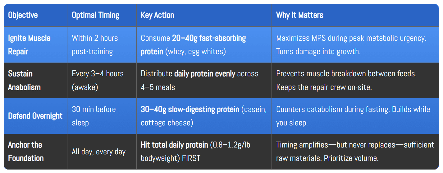Clean 4-step protein timing strategy table: objectives, timing, actions, and scientific rationale for muscle growth