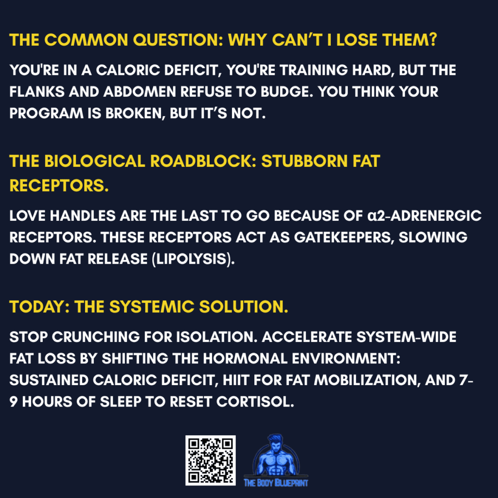 A graphic with a dark blue background and yellow text explaining why love handles are hard to lose. It describes the 'Biological Roadblock' of stubborn α2-adrenergic fat receptors and presents 'Today's Systemic Solution': a sustained caloric deficit, HIIT for fat mobilization, and adequate sleep to manage cortisol.