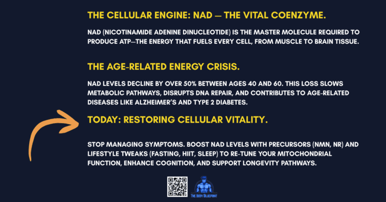 A timeline graphic with a dark blue background and yellow text explaining NAD. It describes NAD as a "Cellular Engine," outlines "The Age-Related Energy Crisis" where levels drop by 50%, and presents "Today: Restoring Cellular Vitality" with precursors like NMN and lifestyle changes like HIIT and sleep.