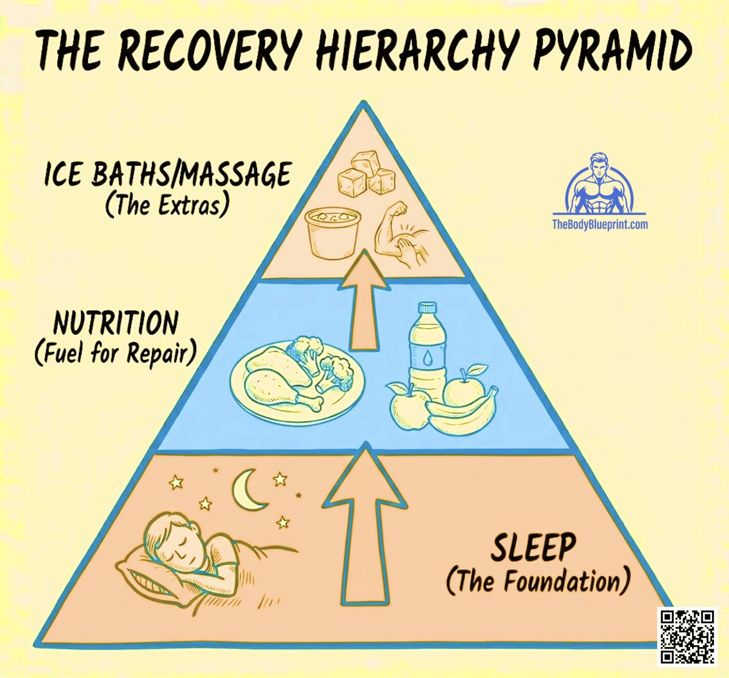A collection of fitness diagrams: The Hierarchy of Gains (Total Daily Protein is the foundation), The Recovery Hierarchy (Sleep is the foundation), and The Supercompensation Curve (Rest is required for growth and a new higher baseline).