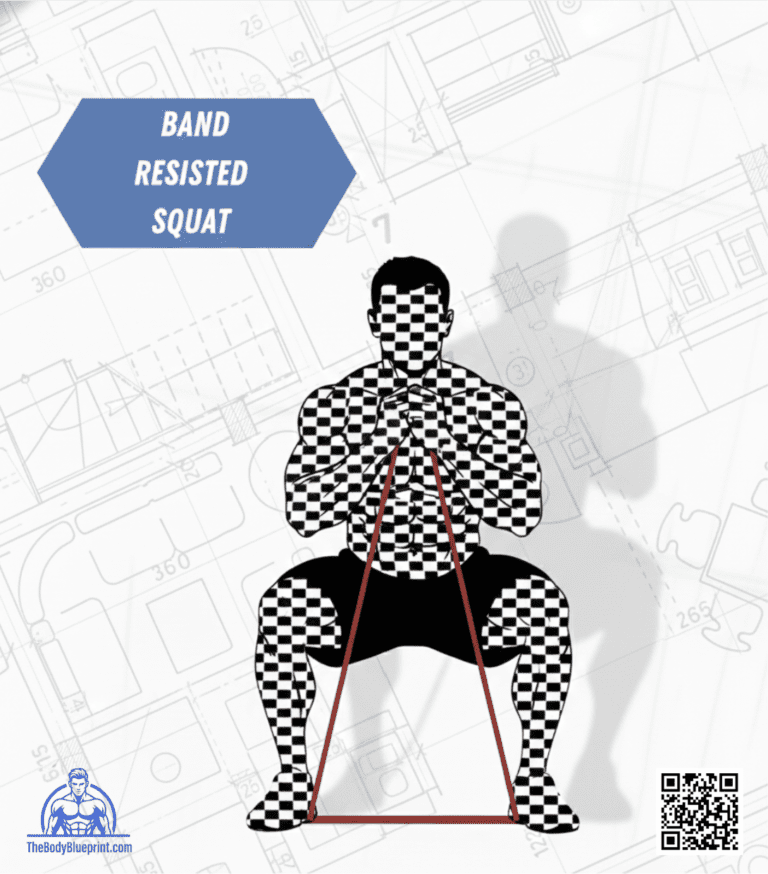 Mechanical diagram of a Band Resisted Squat illustrating accommodating resistance to increase peak force at the top of the movement and maximize gluteal engagement throughout the squat descent.