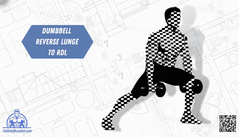Technical diagram of the Dumbbell Reverse Lunge to RDL transition showing proper hip hinge mechanics for glute and hamstring hypertrophy.
