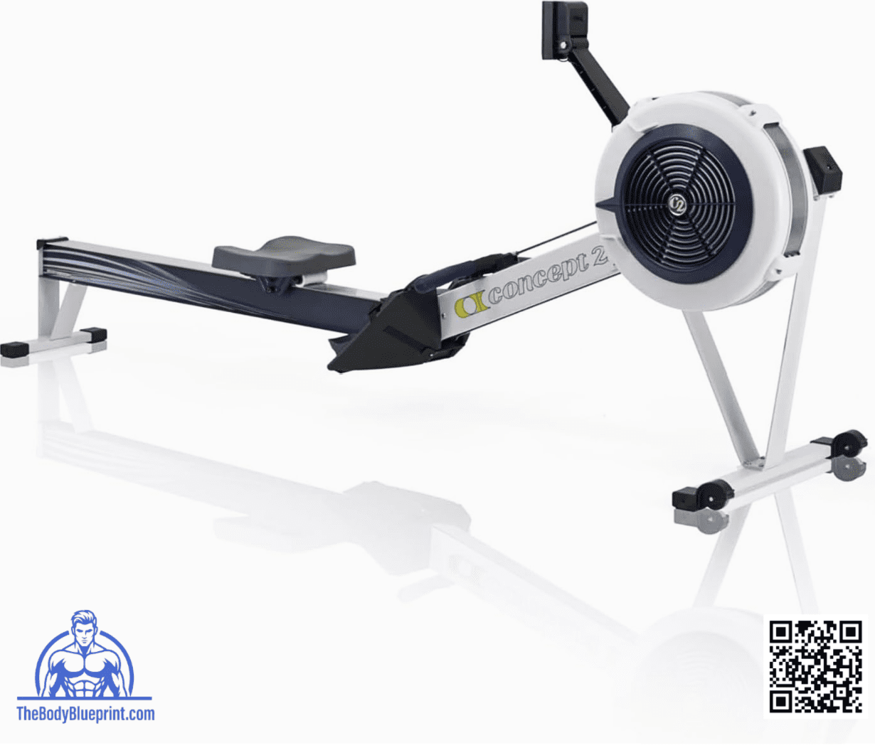 Technical view of the Concept2 RowErg Model D demonstrating the reinforced aluminum monorail and air-resistance flywheel assembly designed for low-maintenance, high-volume use.